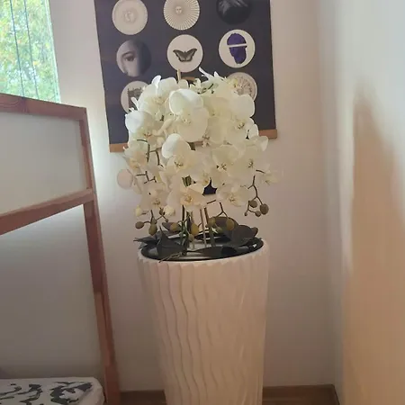 Metropolis, Old Town, Wawel, 110 M2, 3 Rooms, 2 Bathrooms, Big And Very Comfortable